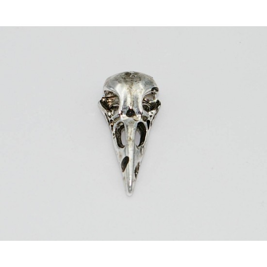 Raven skull (silver finish)